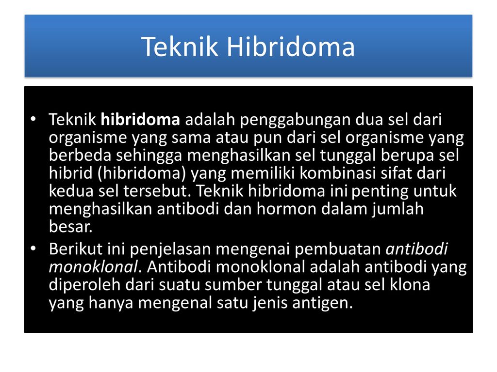 Detail Gambar Dan Skema Hibridoma Nomer 30