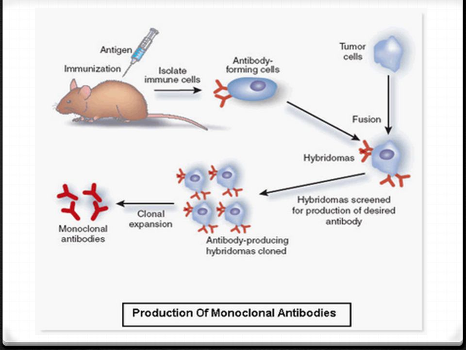Download Gambar Dan Skema Hibridoma Nomer 34