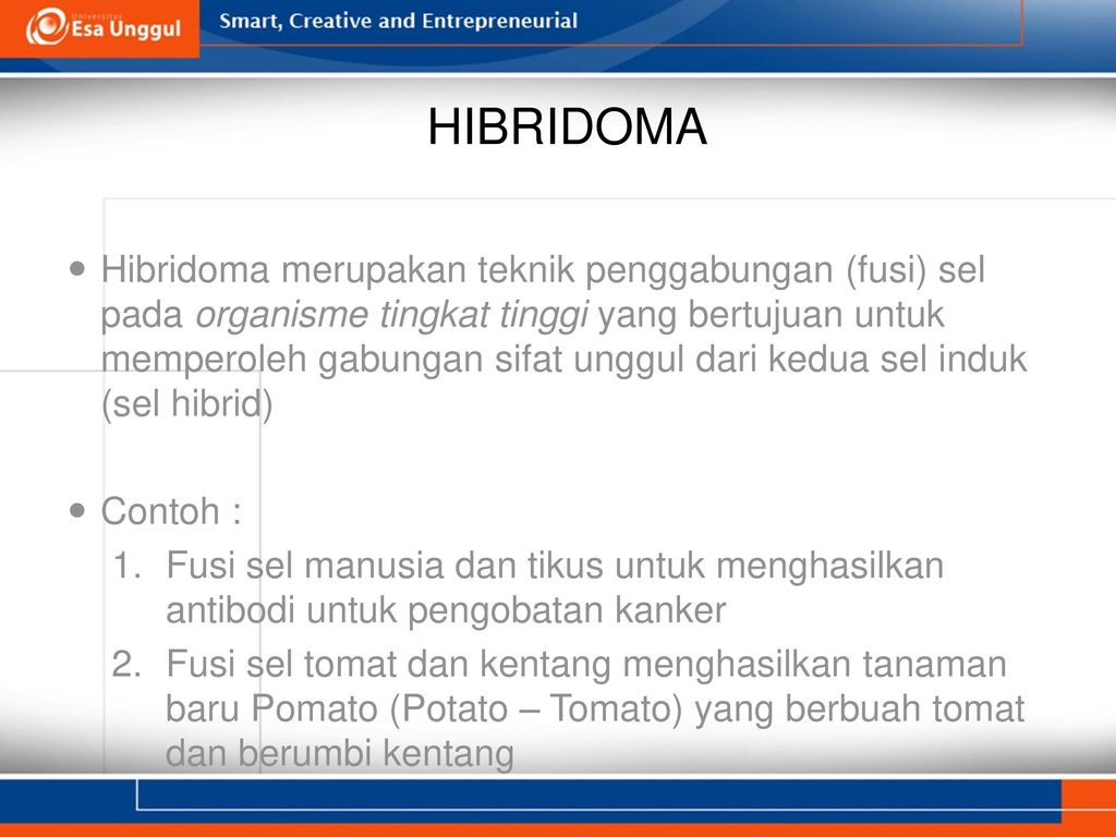 Detail Gambar Dan Skema Hibridoma Nomer 41