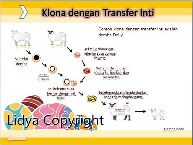 Gambar Dan Skema Klona Inti - KibrisPDR