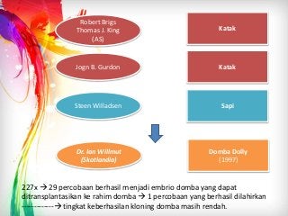 Detail Gambar Dan Skema Klona Inti Nomer 23