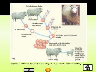 Detail Gambar Dan Skema Klona Inti Nomer 31