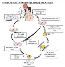 Detail Gambar Dan Skema Klona Inti Nomer 41