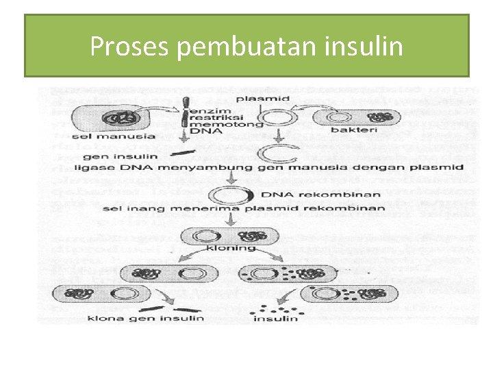 Detail Gambar Dan Skema Klona Inti Nomer 7