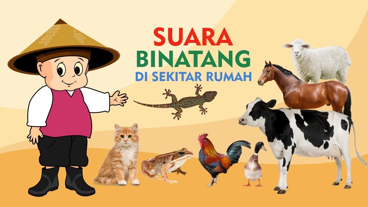 Gambar Dan Suara Binatang - KibrisPDR