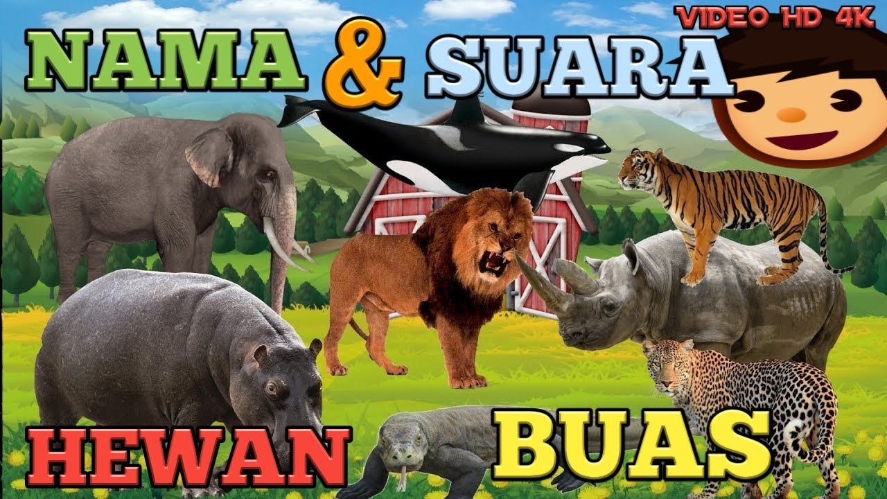 Detail Gambar Dan Suara Binatang Nomer 45