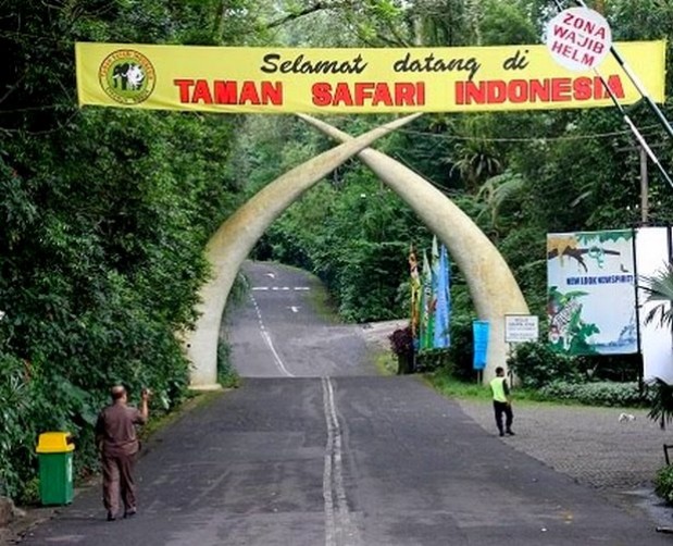 Detail Gambar Dan Taman Safari 1 Nomer 11