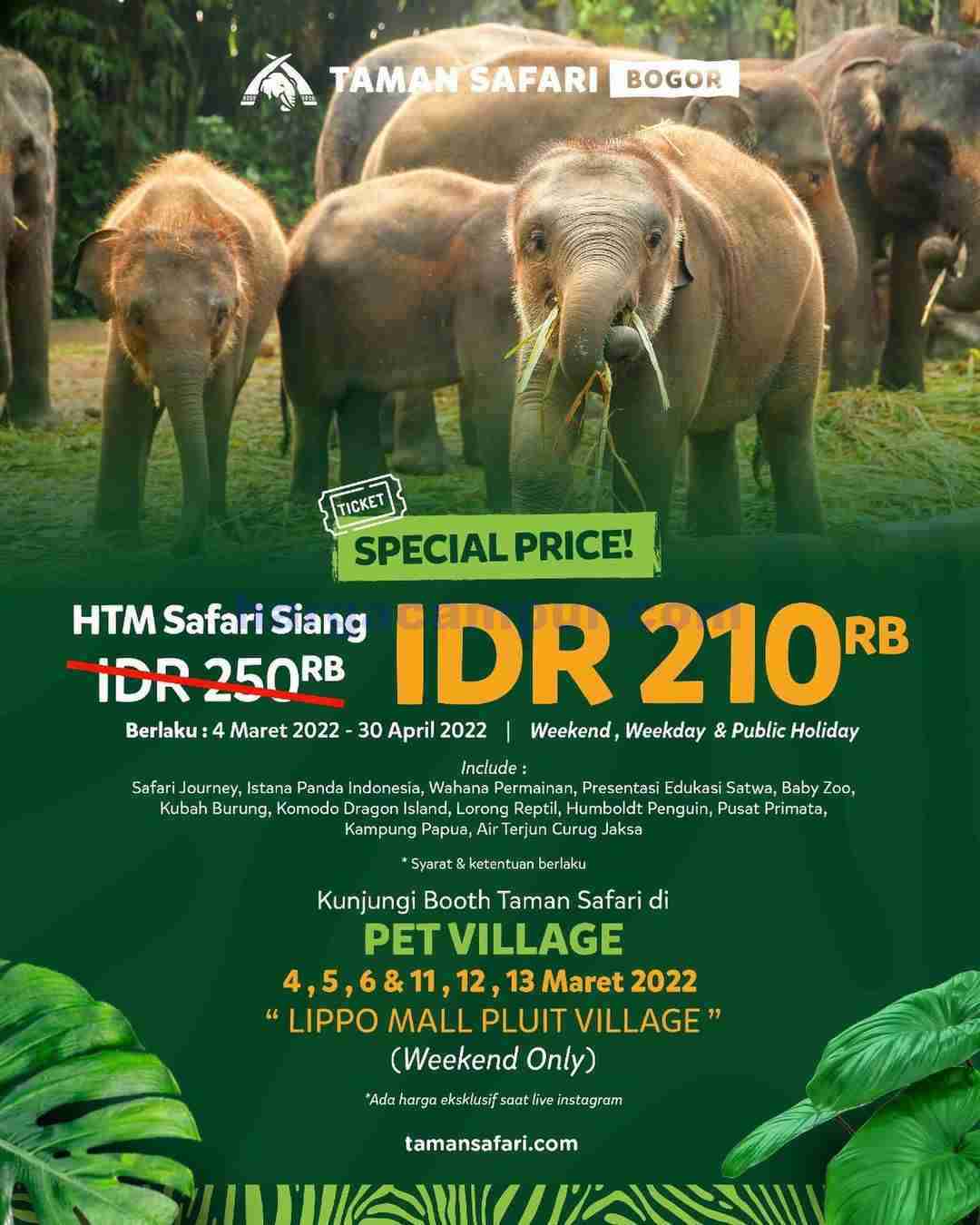 Detail Gambar Dan Taman Safari 1 Nomer 44