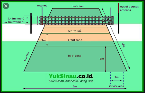 Detail Gambar Dan Ukuran Lapangan Voli Nomer 39