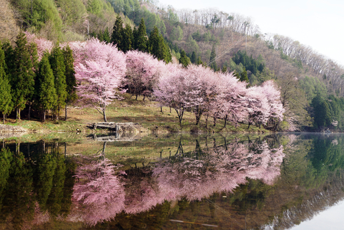 Detail Gambar Danau Indah Nomer 27