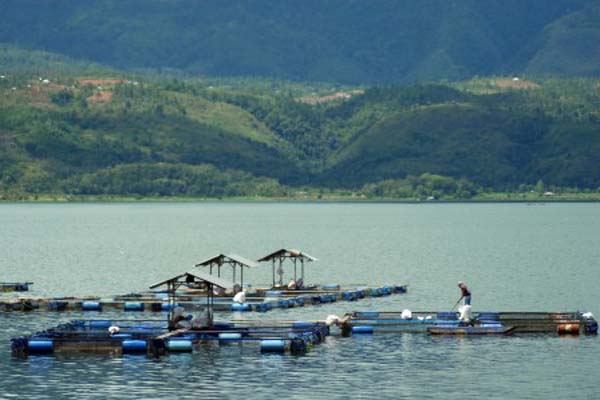 Detail Gambar Danau Singkarak Nomer 10