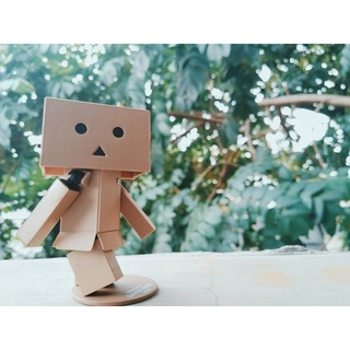 Detail Gambar Danbo Berdoa Nomer 25