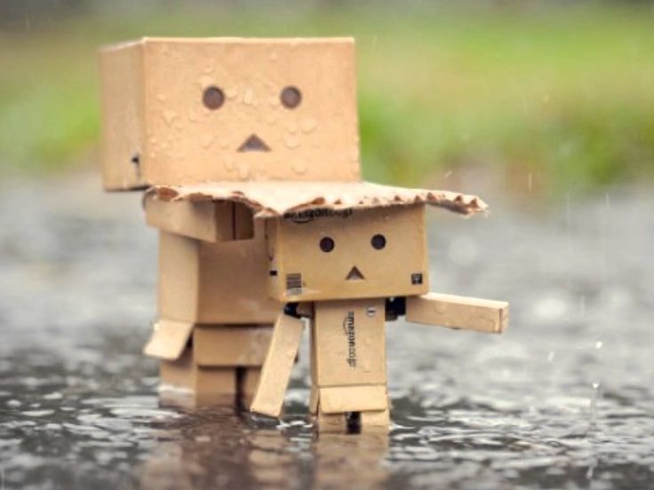 Detail Gambar Danbo Berdoa Nomer 5