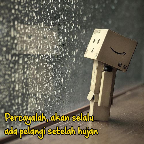 Detail Gambar Danbo Dengan Kata Kata Nomer 18