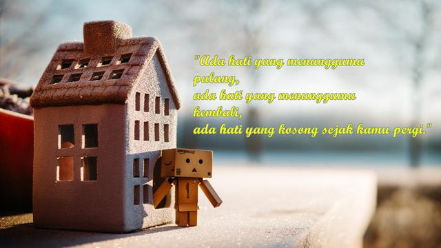 Detail Gambar Danbo Kata Kata Nomer 12