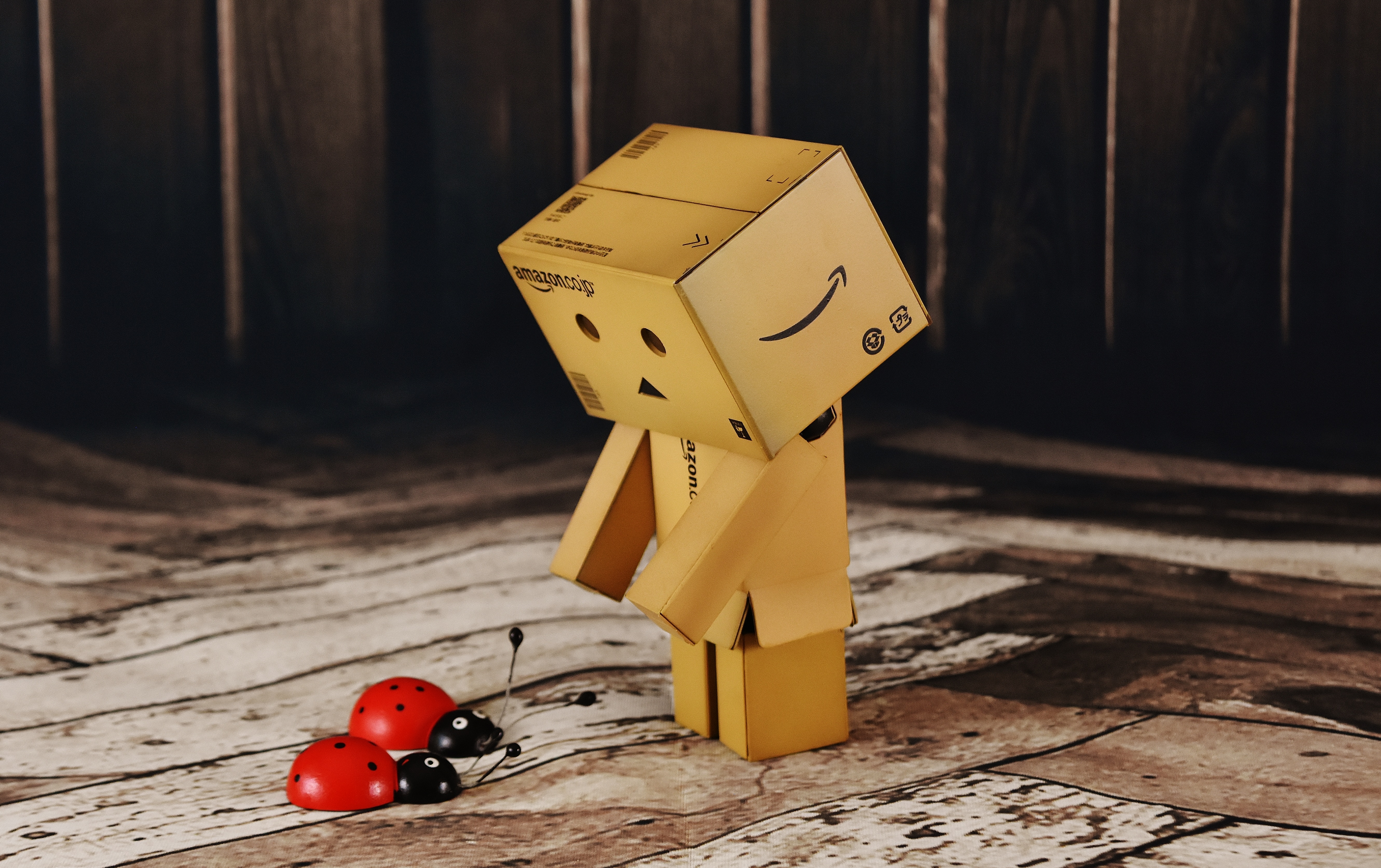 Detail Gambar Danbo Lucu Nomer 54