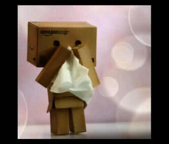 Detail Gambar Danbo Menangis Nomer 14