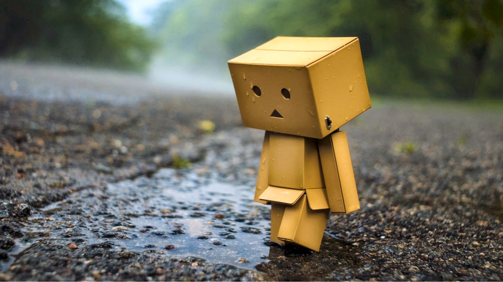 Detail Gambar Danbo Sedih Nomer 26