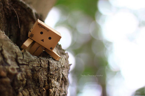 Detail Gambar Danbo Sedih Nomer 53