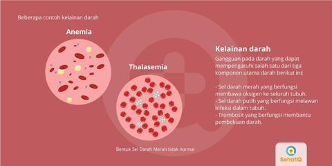 Detail Gambar Darah Gambar Darah Putih Nomer 35