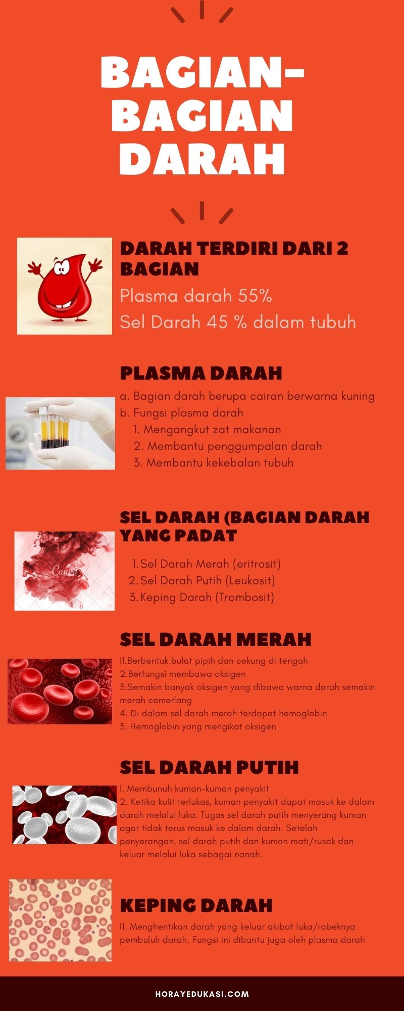 Detail Gambar Darah Mengalir Nomer 31