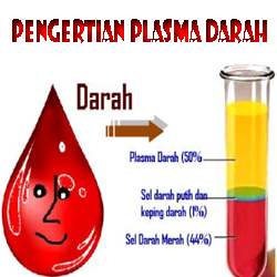 Detail Gambar Darah Penegrtian Sel Darah Merah Nomer 43