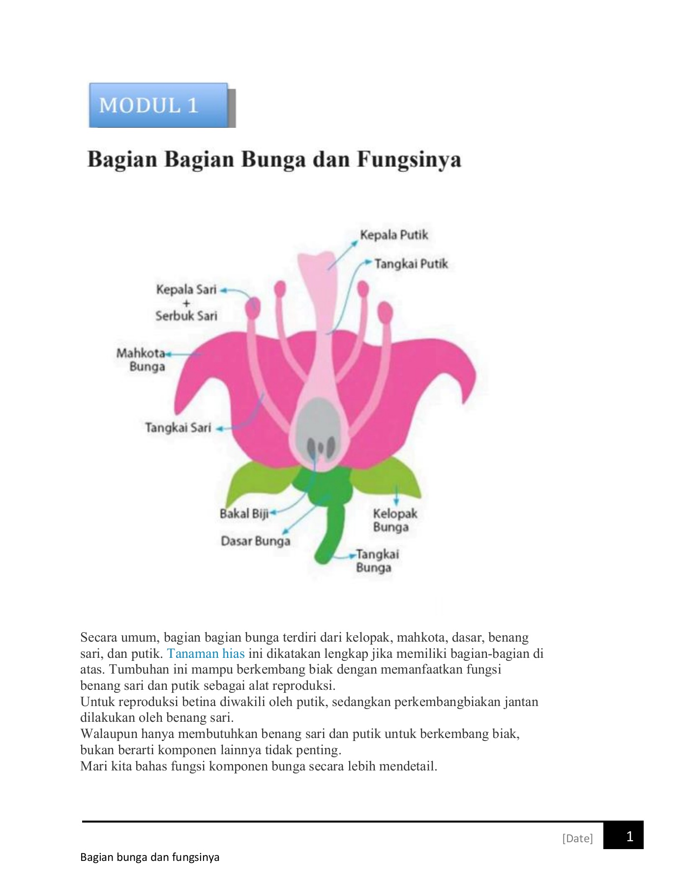 Detail Gambar Dasar Bunga Nomer 34