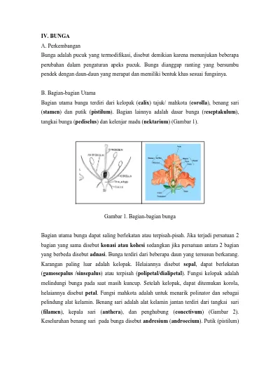 Detail Gambar Dasar Bunga Nomer 36