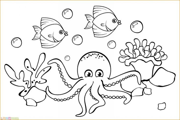 Detail Gambar Dasar Laut Hitam Putih Nomer 2