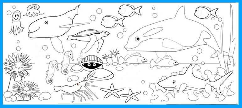 Detail Gambar Dasar Laut Hitam Putih Nomer 19
