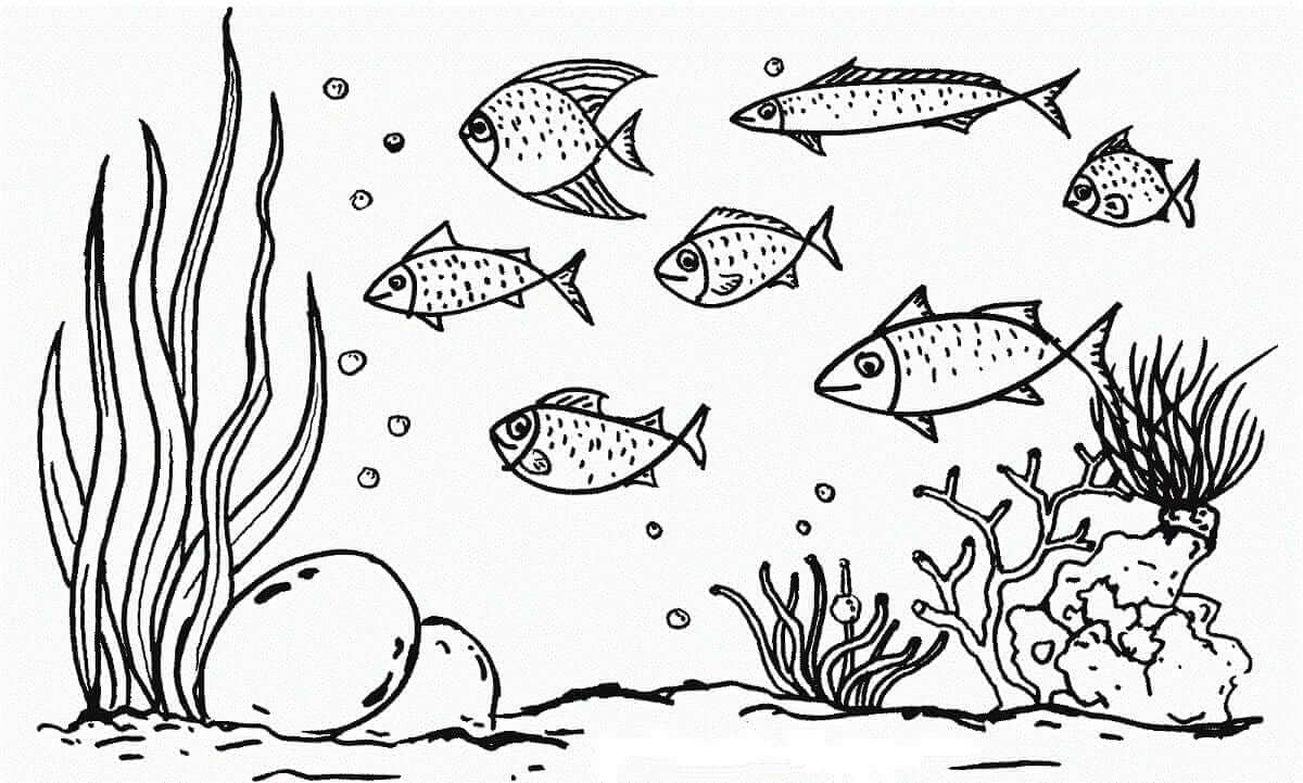 Detail Gambar Dasar Laut Hitam Putih Nomer 4