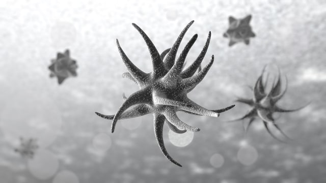 Detail Gambar Dasar Laut Hitam Putih Nomer 31