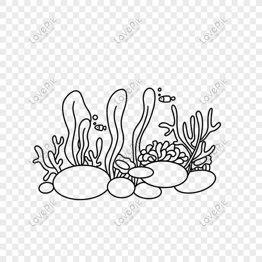 Detail Gambar Dasar Laut Hitam Putih Nomer 32