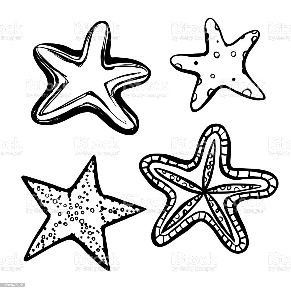 Detail Gambar Dasar Laut Hitam Putih Nomer 45