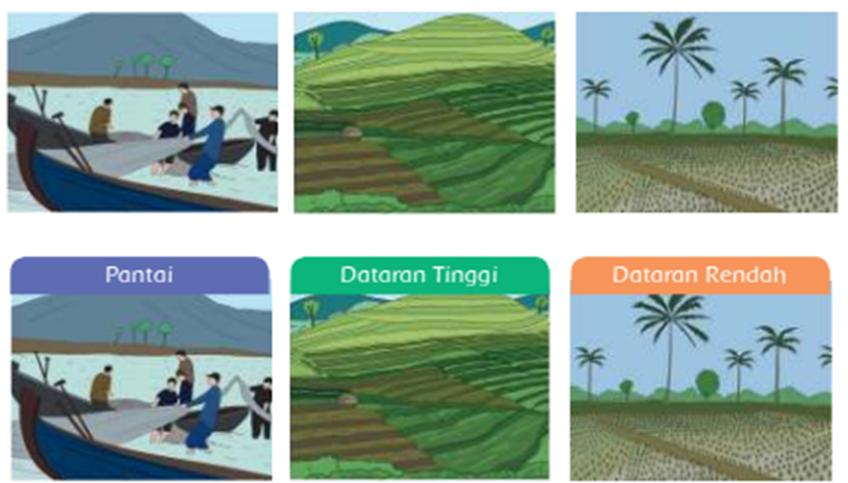 Detail Gambar Dataran Tinggi Dan Dataran Rendah Nomer 2