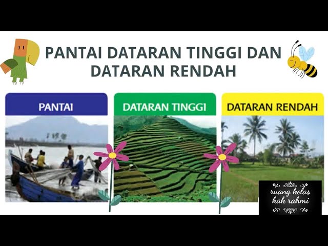 Detail Gambar Dataran Tinggi Dan Dataran Rendah Nomer 5