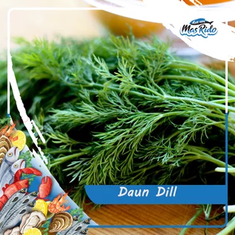 Detail Gambar Daun Adas Nomer 50