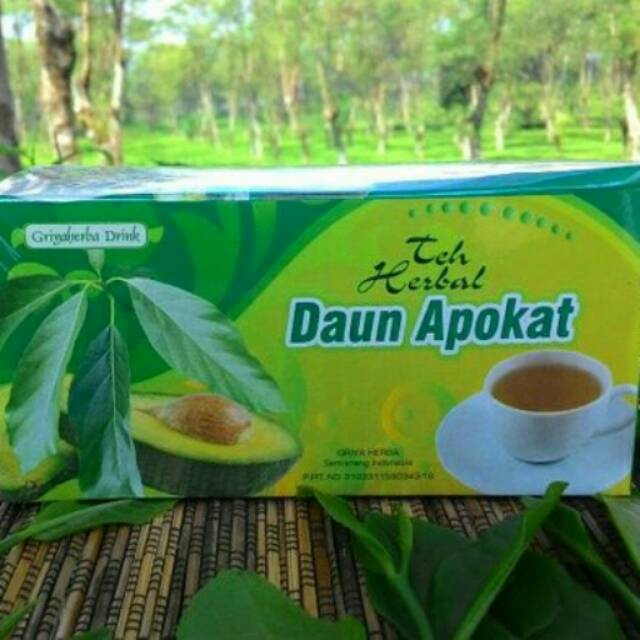 Detail Gambar Daun Alpukat Nomer 53