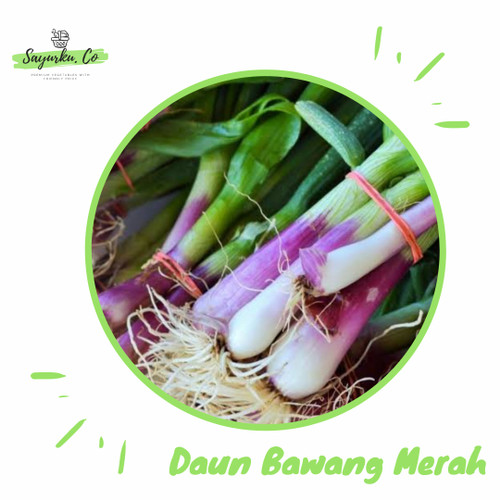 Detail Gambar Daun Bawang Merah Nomer 26