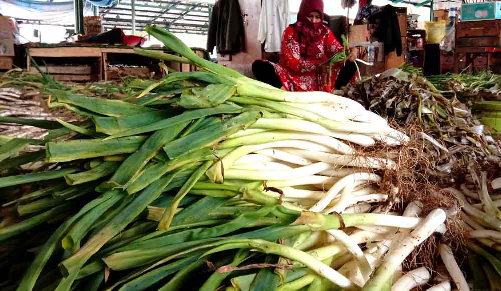 Detail Gambar Daun Bawang Prei Nomer 41