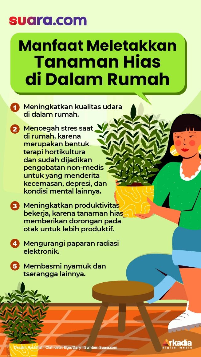 Detail Gambar Daun Binahong Dan Manfaatnya Nomer 35