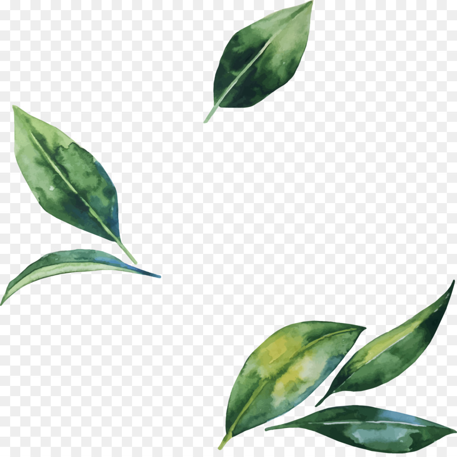 Detail Gambar Daun Bunga Png Nomer 26