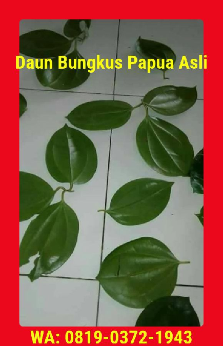 Detail Gambar Daun Bungkus 3 Jari Di Gorontalo Nomer 3