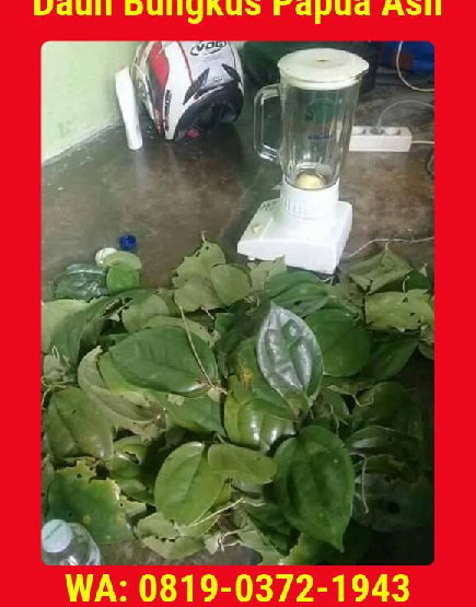 Detail Gambar Daun Bungkus 3 Jari Di Gorontalo Nomer 7