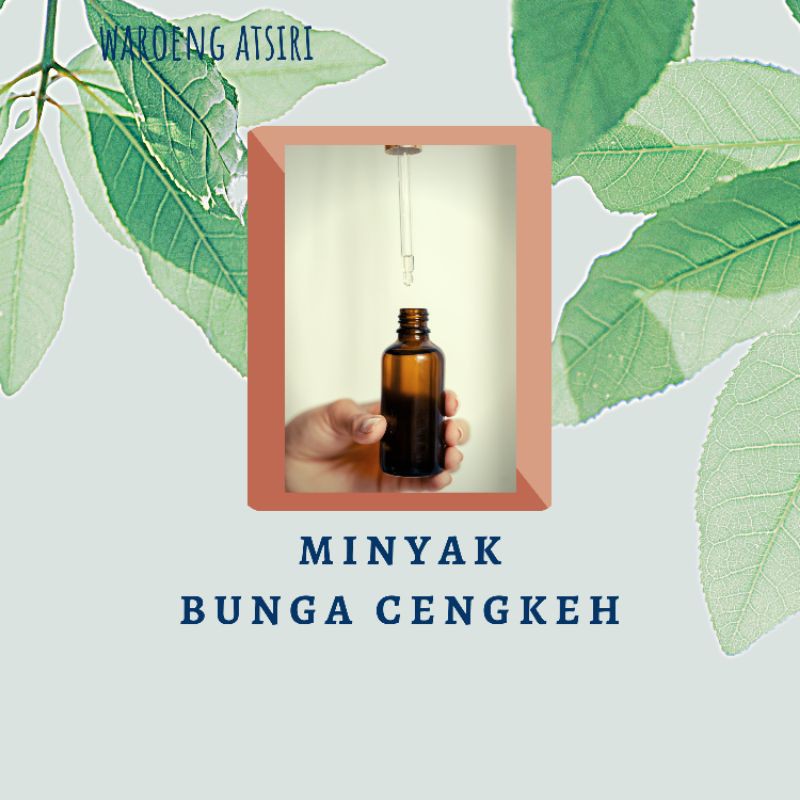 Detail Gambar Daun Dan Bunga Cengkeh Nomer 41