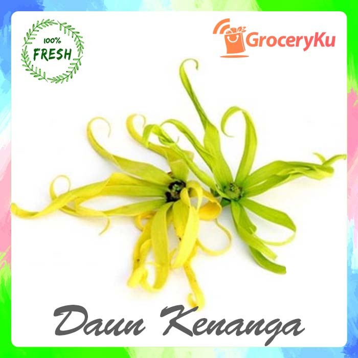 Detail Gambar Daun Dan Bunga Kenanga Nomer 46