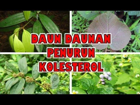 Detail Gambar Daun Daunan Nomer 32