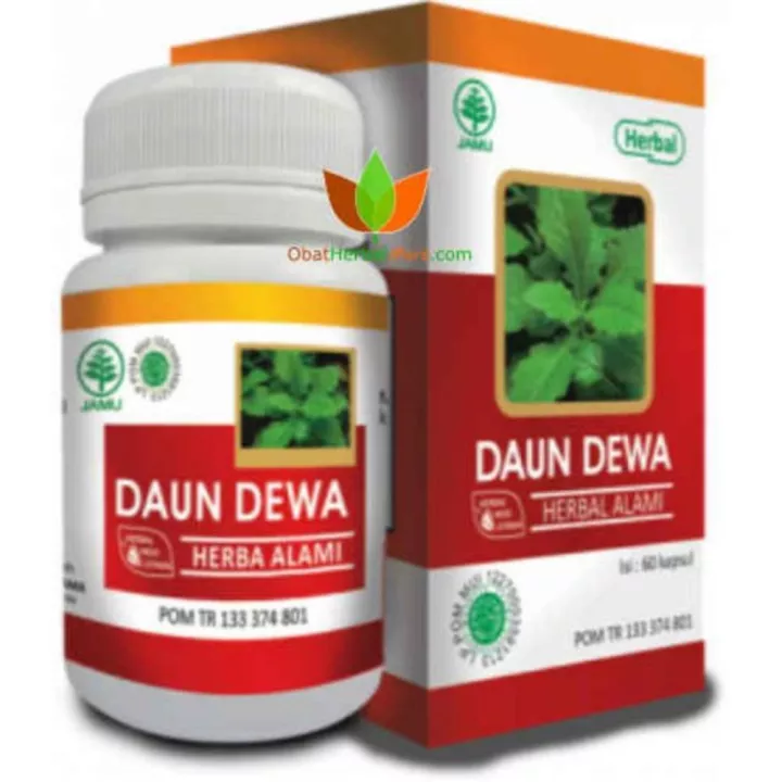 Detail Gambar Daun Dewa Nomer 43