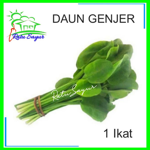 Detail Gambar Daun Genjer Nomer 51