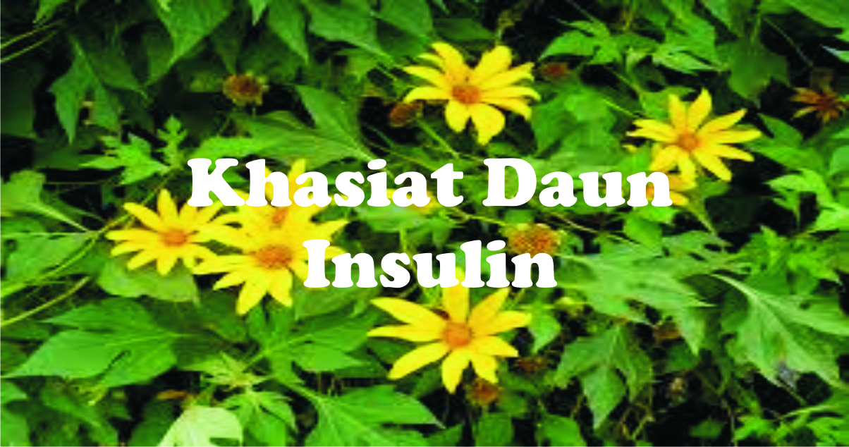 Detail Gambar Daun Insulin Nomer 25